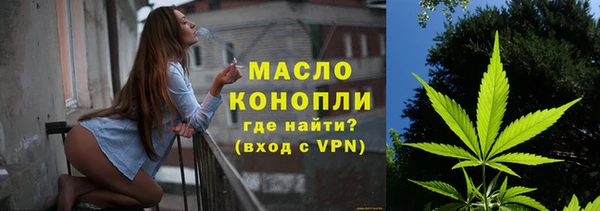шишки Заводоуковск