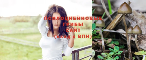 скорость Заволжье