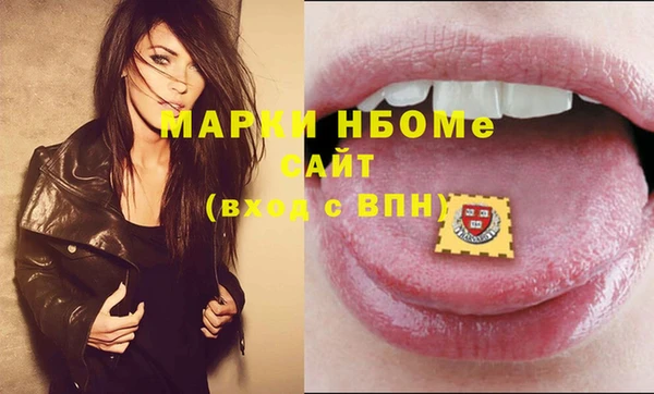 шишки Заводоуковск