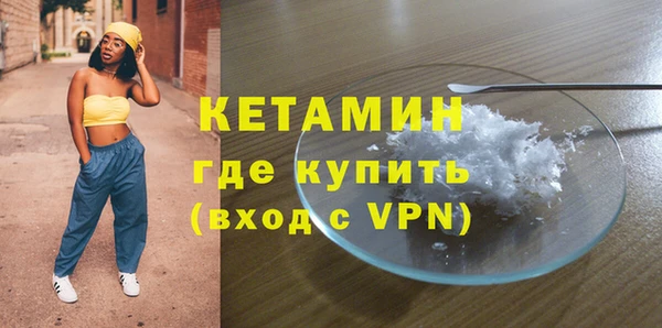 шишки Заводоуковск